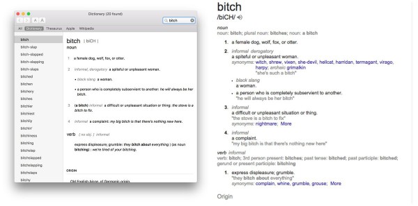 bitch-definition